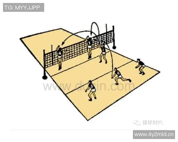 成都排球队反击体系解析:排球战术的创新与实践探索 成都排球队反击体系解析:排球战术的创新与实践探索