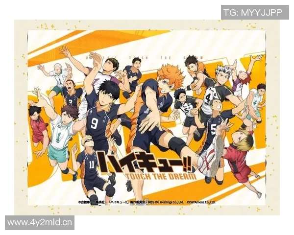 排球新手必看：从基础技能到个人能力全面提升的实用指南